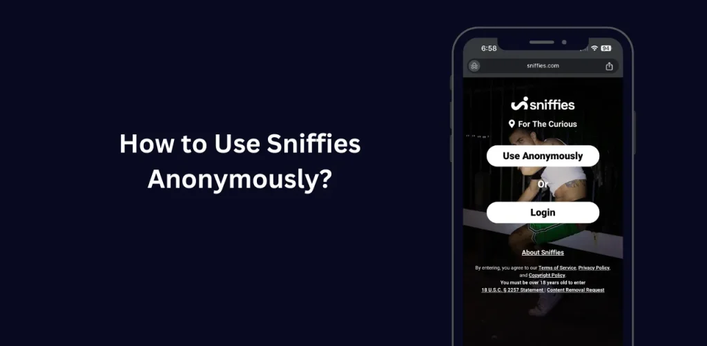 in this image, we are discussing How to Use Sniffies Anonymously