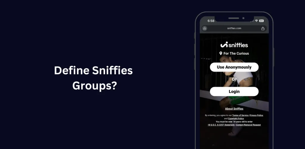 in thiss image we guide you that Define sniffies groups?