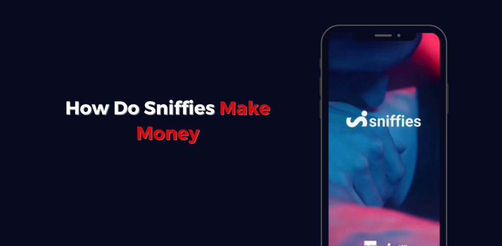 How Sniffies makes money